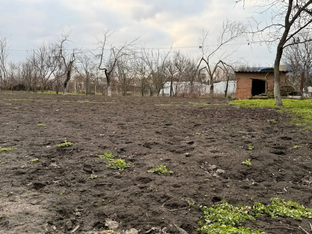 Отдаю соседу навозную жижу, а себе наливаю стакан «живой воды»: как 200-литровая бочка делает почву более воздушной