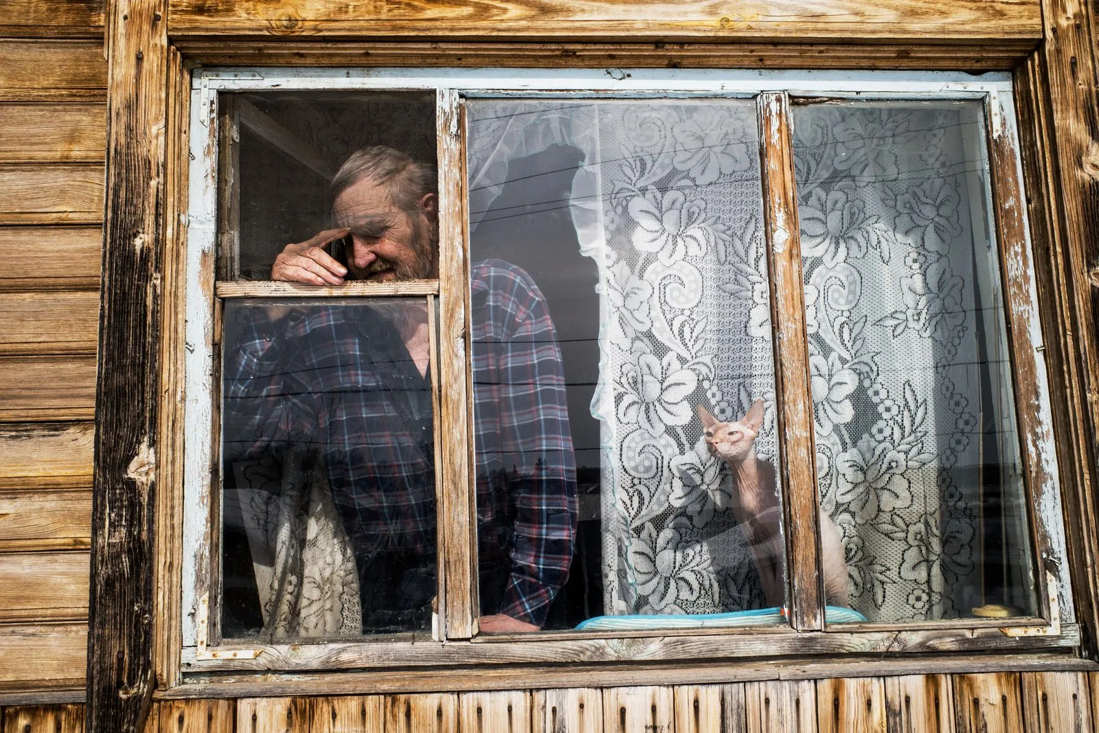 «Я не чувствую себя здесь своим, поэтому ничего не сделаю»: отчим использует дом, но от помощи уклоняется