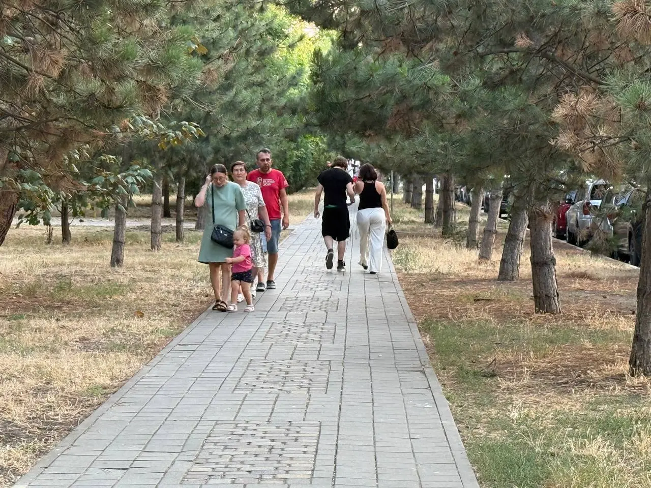 Одна простая фраза — и ваши взрослые дети начнут больше вас ценить: советы опытных родителей