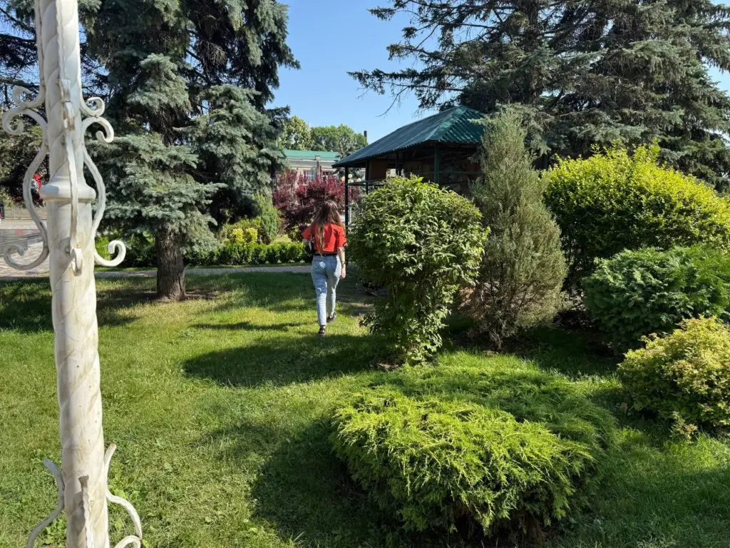 Синоптики обновили прогноз на лето: июль и август порадуют неожиданными контрастами