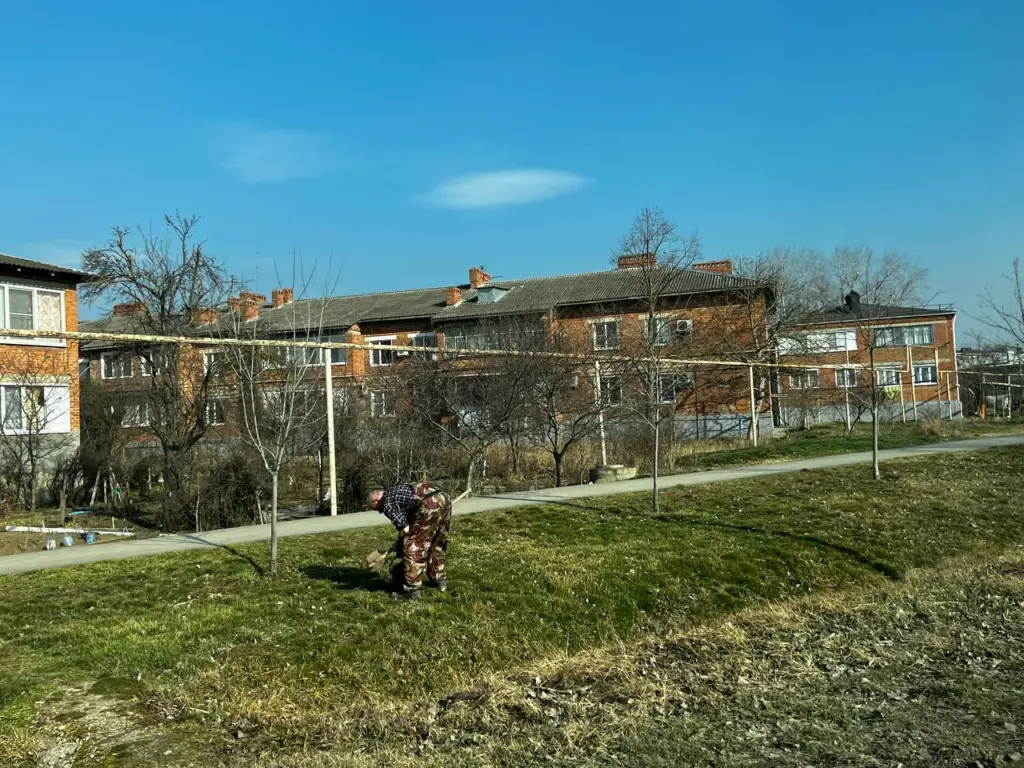 Проверка пенсионного стажа: какие периоды могут не учитываться россиянам в 2026 году